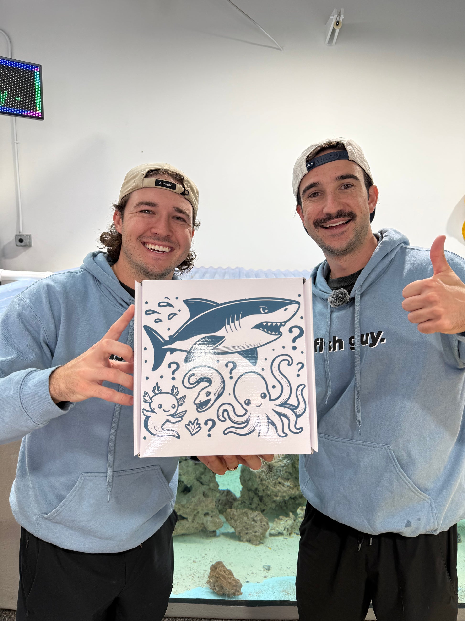 big fish box Mega Mystery Box – The Fish Guy Shop
